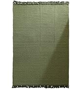 ISAENNE Vintage Soft Green Indoor Area Rugs,Rectangular Non-Slip Comfortable Weave Carpet for Liv...