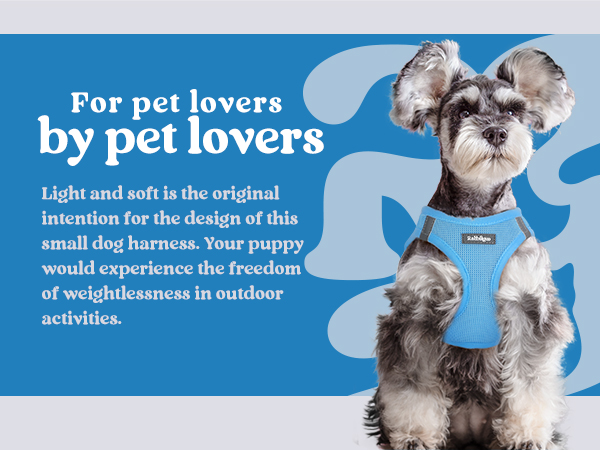 light blue harness for small dogs
