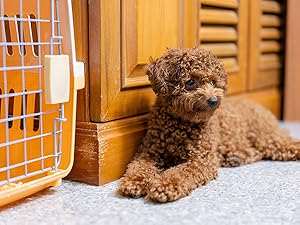 4G LTE Cellular Security Camera