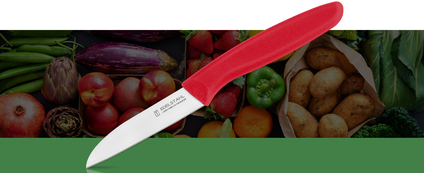 Stainless Steel Blade