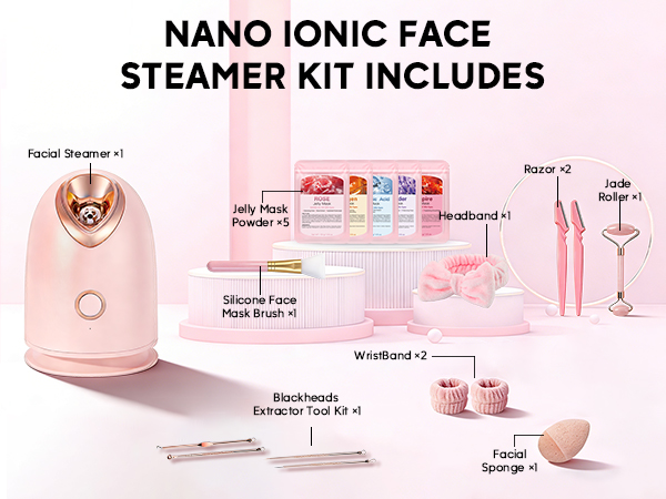face steamer kit