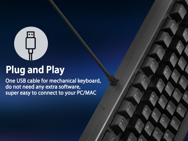 Wired keyboard