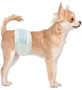 BV Male Dog Wraps, X-Small, 50 Counts Dog Diapers for Male Dogs, Extra Small Disposable Puppy Wraps
