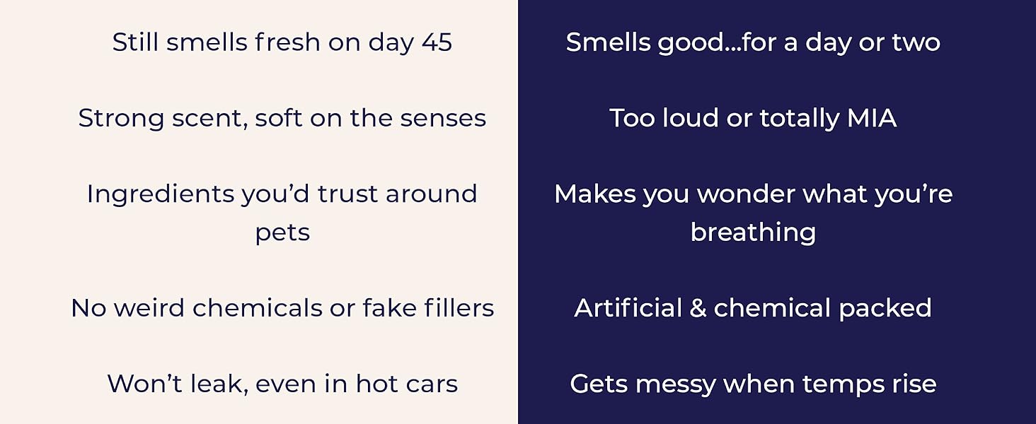 Cande craft car fresheners long lasting freshener car diffuser