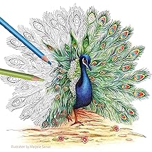 peacock 3