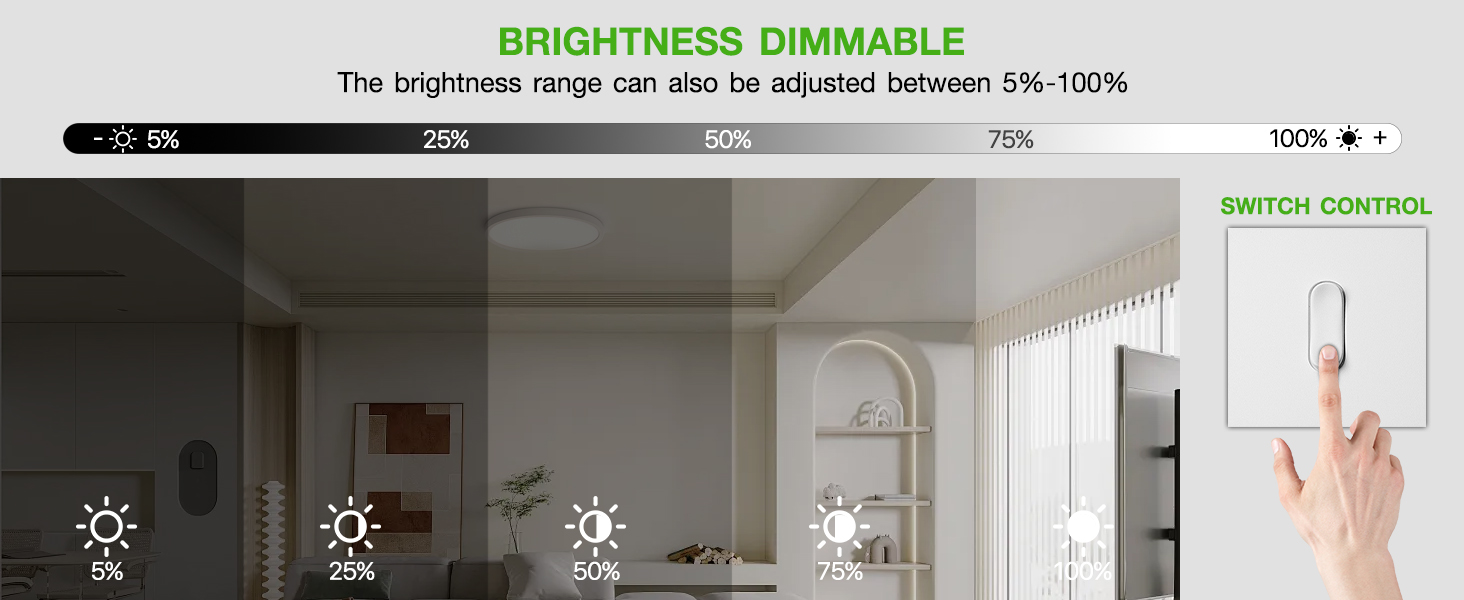 ceiling light fixture