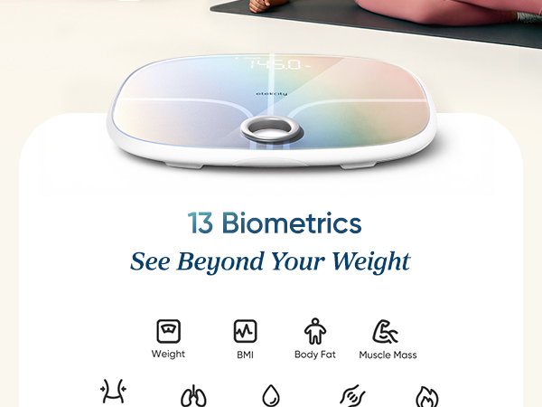 etekcity smart scale