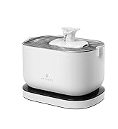 automatic cat feeder