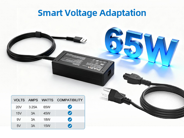 VOLTAGE ADAPTATION