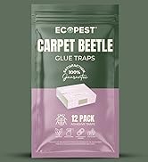 Carpet Beetle Glue Traps – 12 Pack | Natural, Chemical-Free Sticky Traps for Carpet Beetles &amp; Lar...