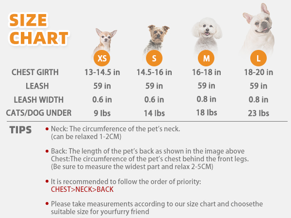 dog harness