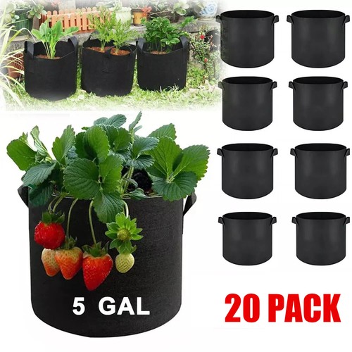 https://i.ebayimg.com/00/s/MTUwMFgxNTAw/z/5rIAAOSwLa1n2oPJ/$_12.JPG?set_id=880000500F