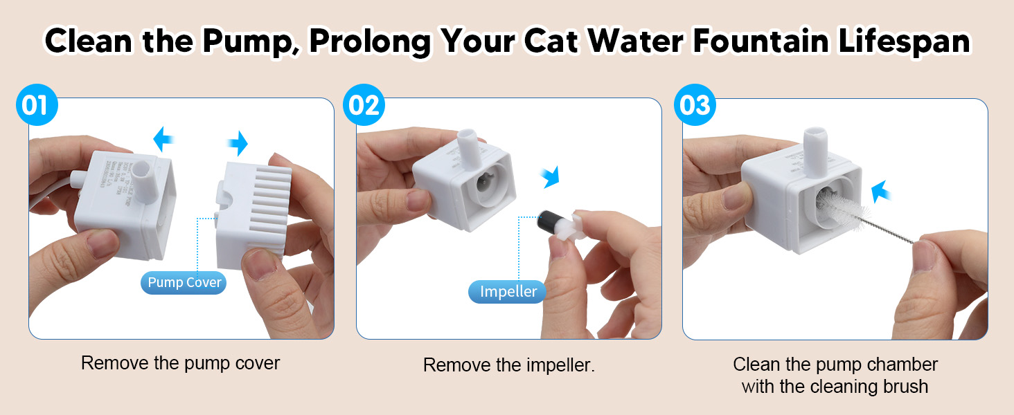 cat water fountain of indoor