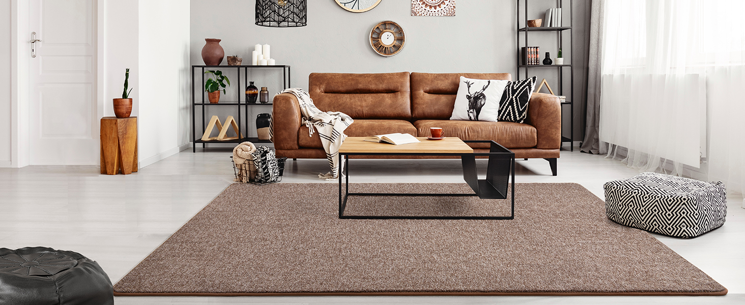 brown and white living room rug