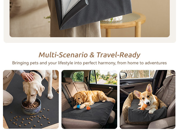 dog feeding mat