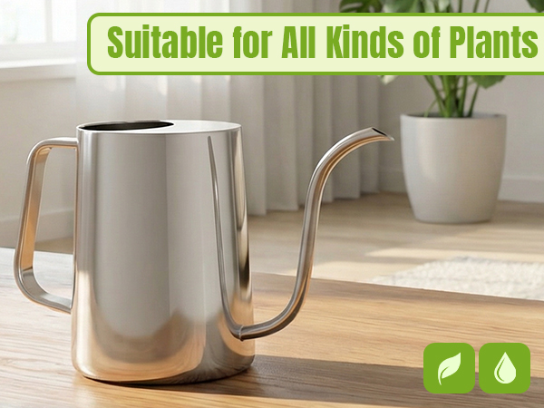 34oz/1000ml Watering Can Indoor Plants with Long Spout, Plant Watering Can for Ergonomic Handle