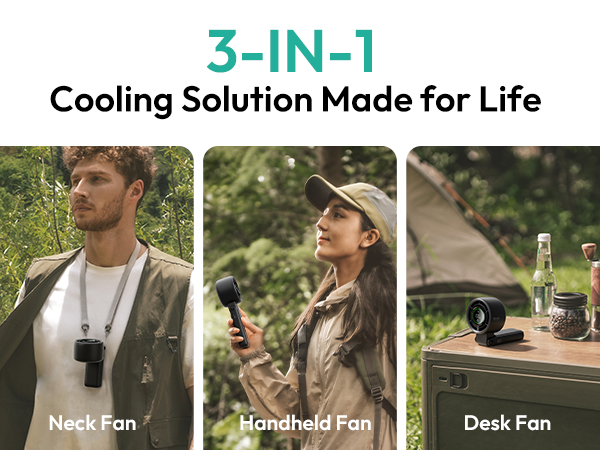 3-IN-1