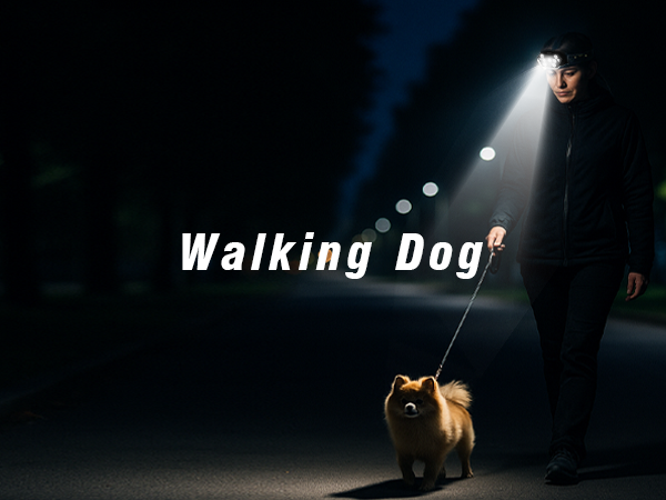 head lights for forehead