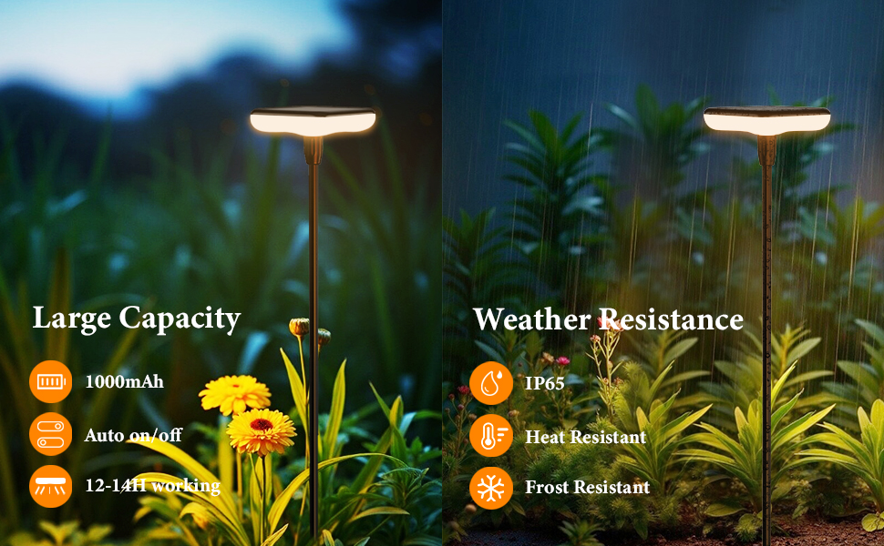 outdoor solar pathway lights