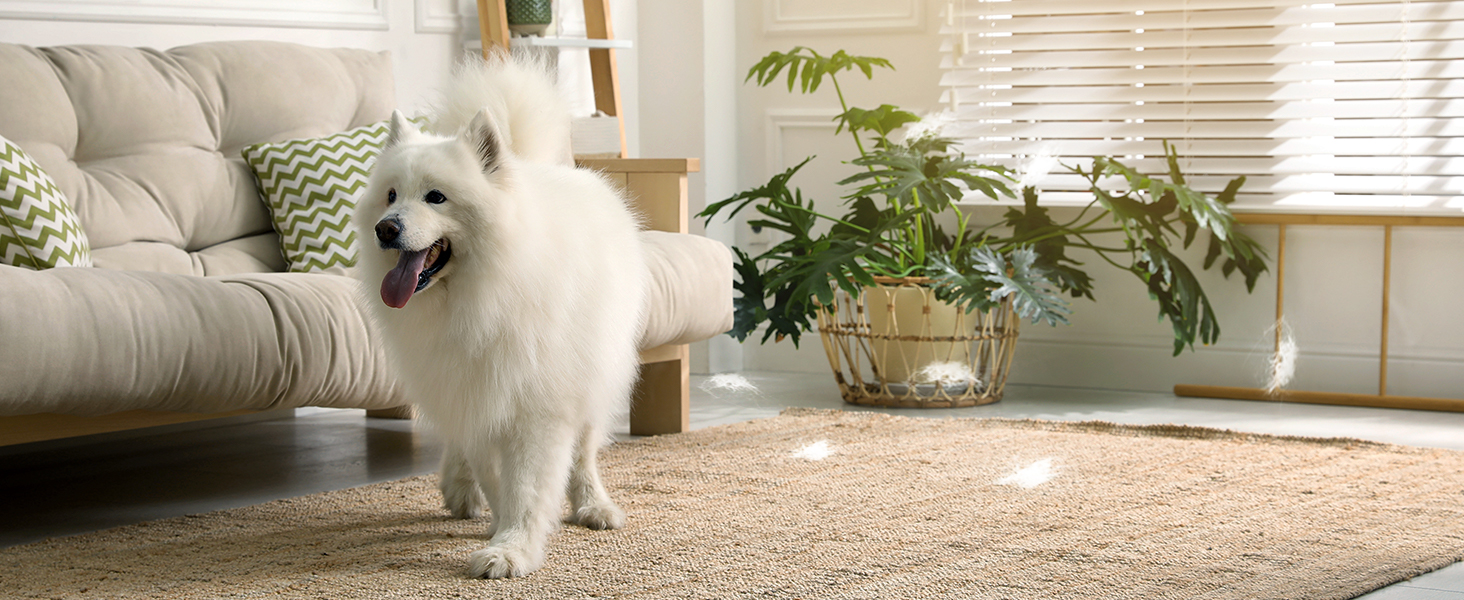 Absorption of pets hair