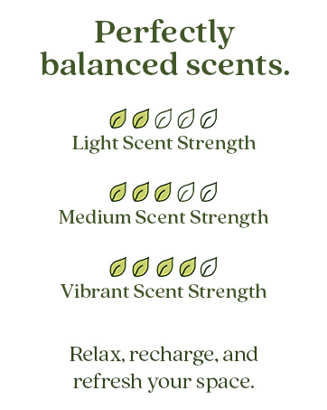 house good sticks freshner fresh wave refresher enviroscent non toxic candles women ins refills