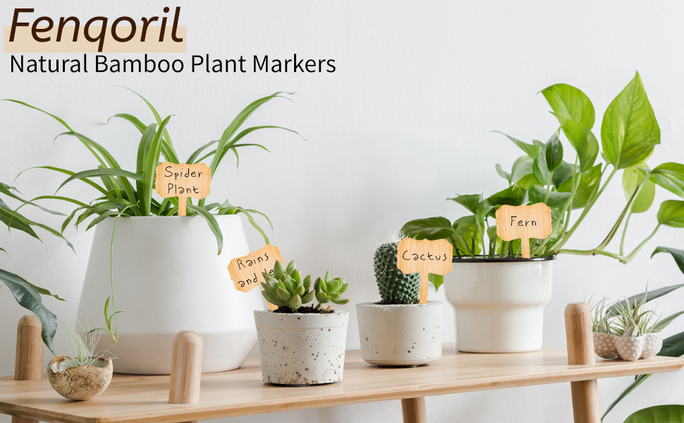 Natural bamboo plant markers labeling potted plants on a wooden shelf in a bright indoor setting.