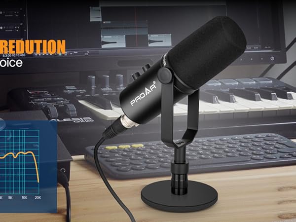 dynamic microphone xlr