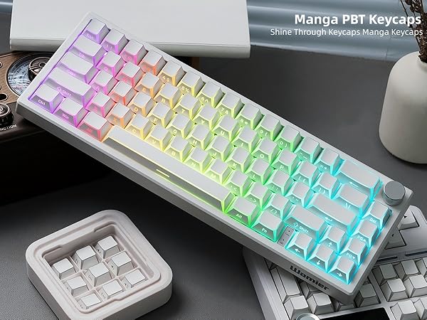 PBT Shine Through Keycaps Manga White, OEM Profile Side Printed Custom Key caps
