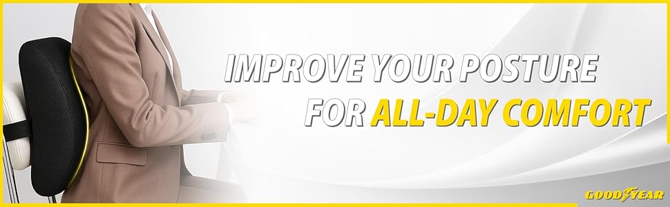 Lumbar Support Pillow for Back Office Chair Comfort