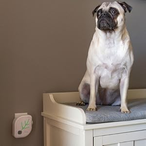 Best Air Purifier for Pets