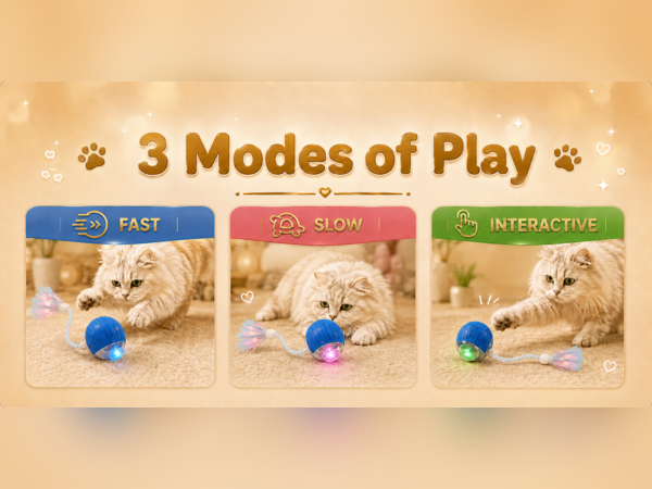 3 modes of play, fast ,slow,interactive