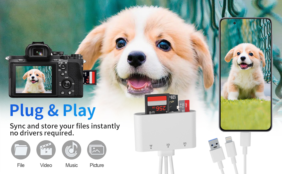 XD Picture Card Adapter