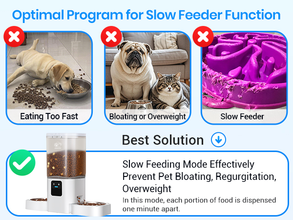 automatic cat feeder with app