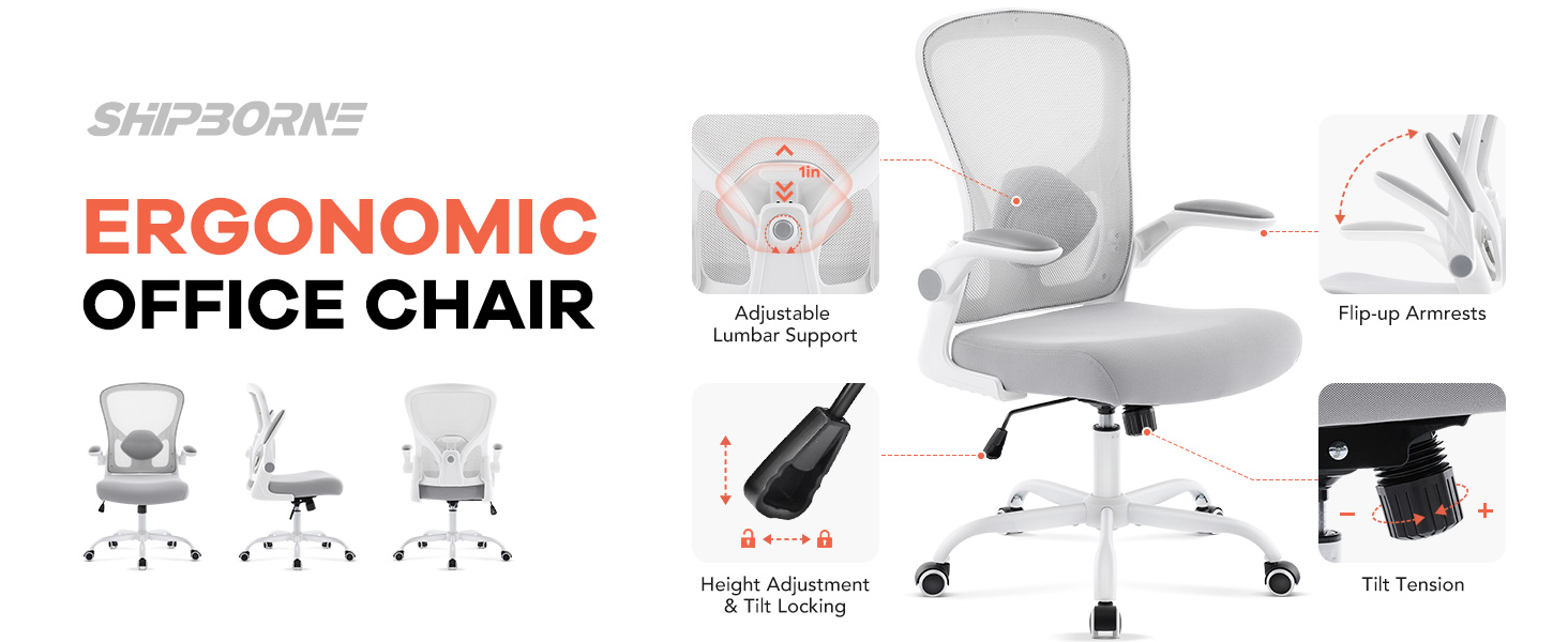 Ergonomic Office Chair