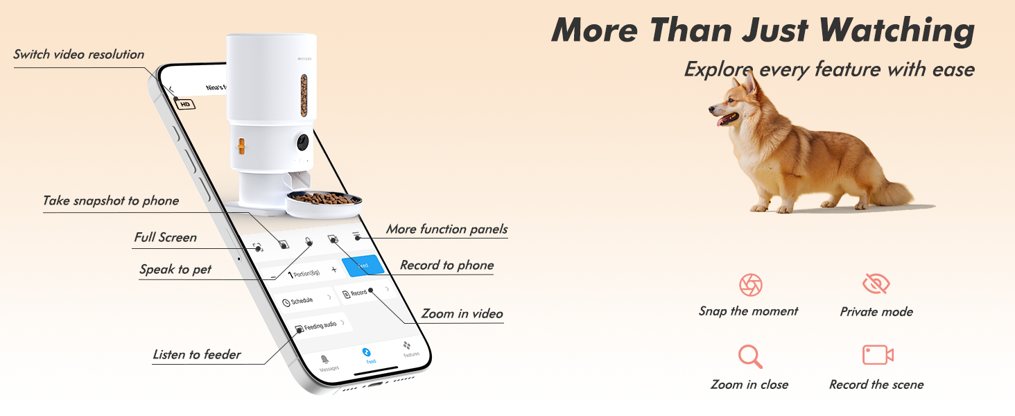 automatic cat feeder cat food dispenser automatic dog feeder cat automatic feeder pet feeder