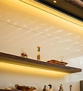 DAYBETTER COB LED Strip Lights, Tunable White(2700K-6500K) COB LED Lights with 3040 LEDs, RF Remo...