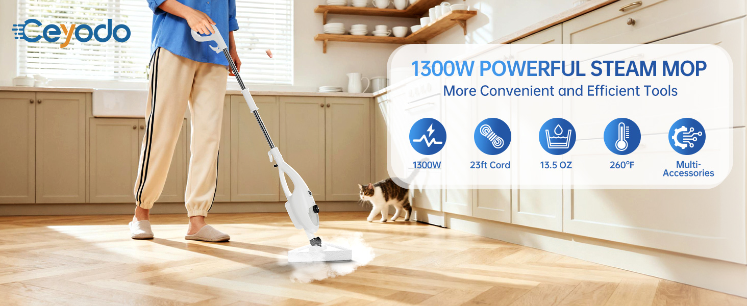 steam mop