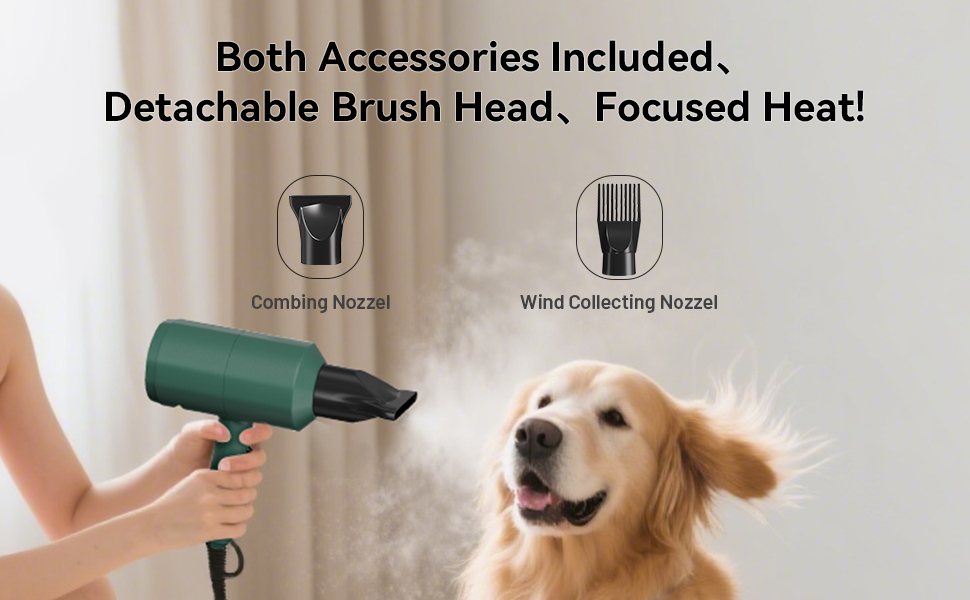 dog blow dryer