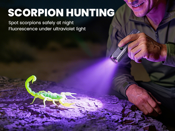 uv flashlight rechargeable