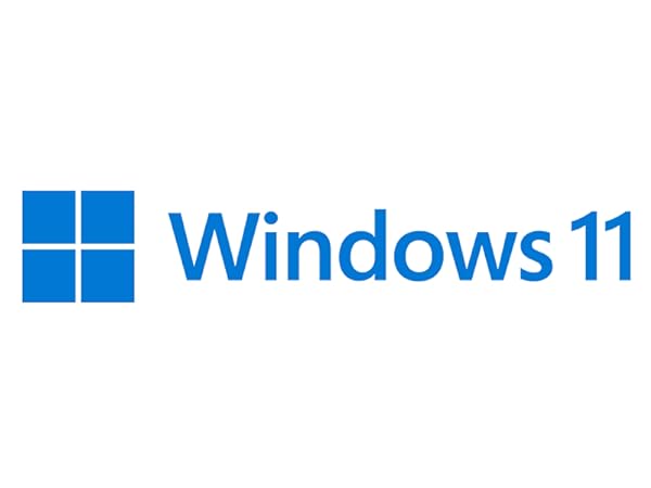 Windows 11