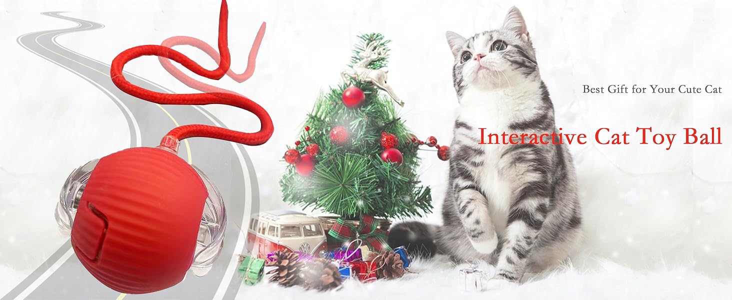 cattoyball