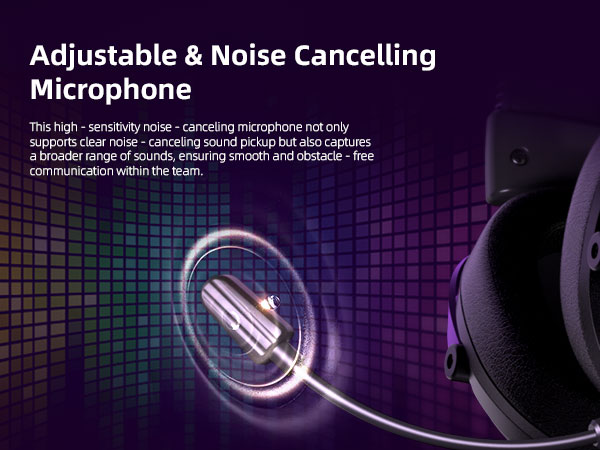 microphone