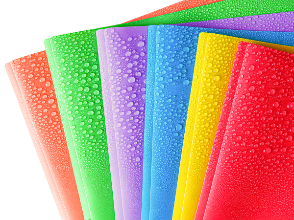 FUCDTEFC 2 Pocket Folder with Prong
