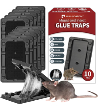 https://m.media-amazon.com/images/S/aplus-media-library-service-media/df23147d-2cbf-4c90-be60-7d015eec2fb7.__CR0,0,200,225_PT0_SX200_V1___.jpg