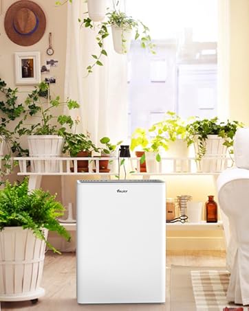Air Purifier