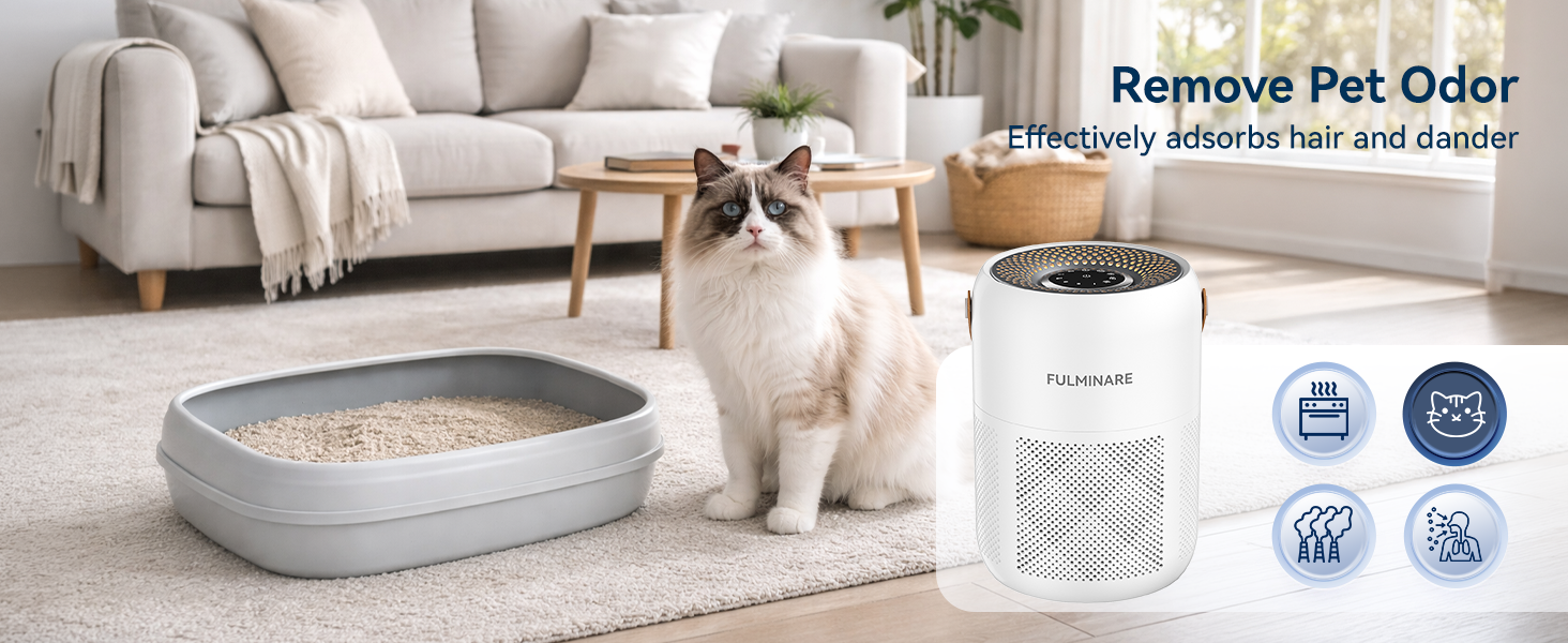 Air Purifier for Bedroom