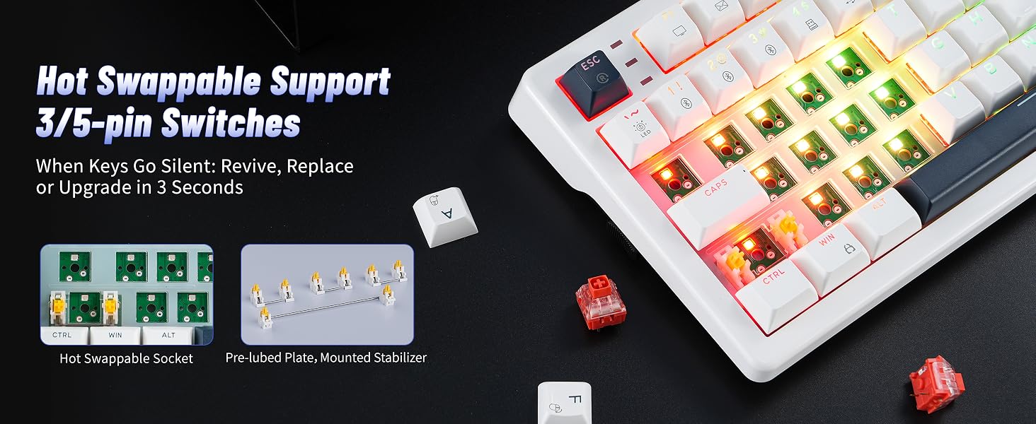 Hot Swappable Support 3/5-pin Switches