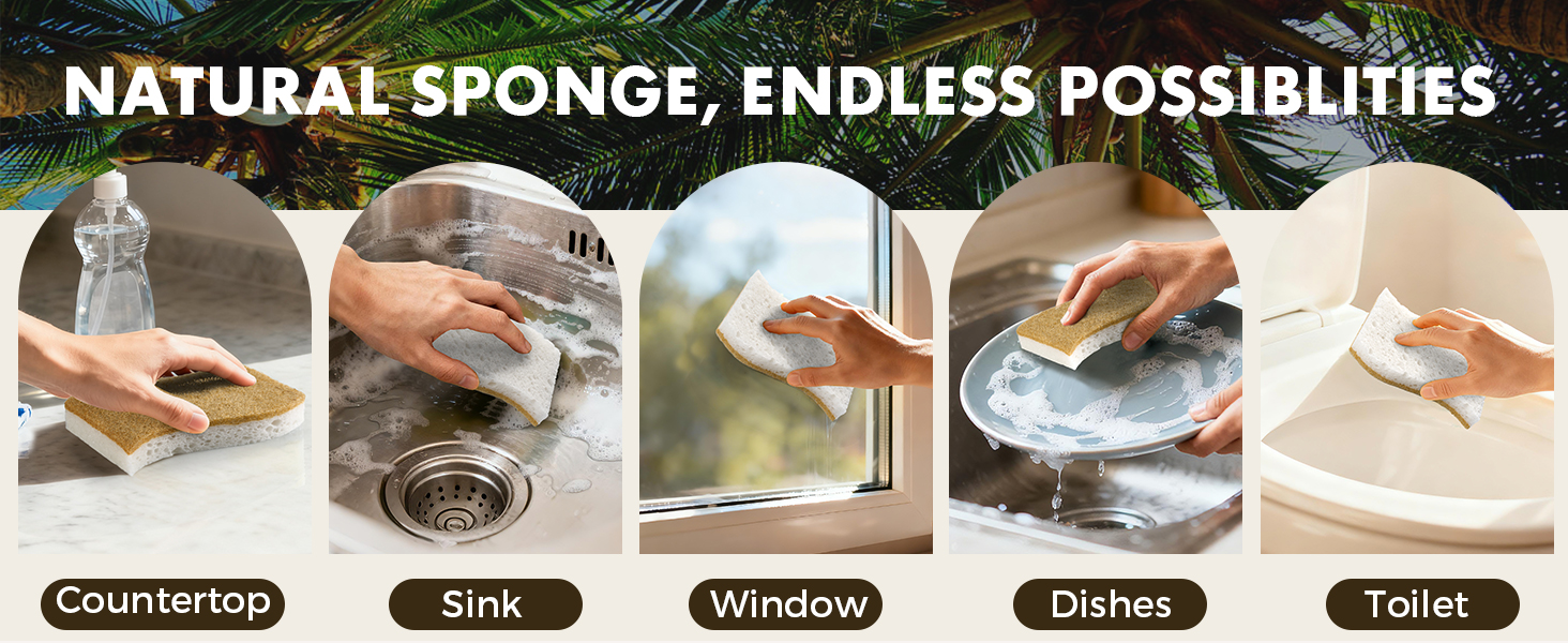 eco friendly sponges