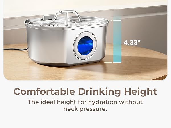 stainless steel cat water fountain