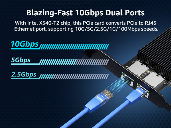 10g network card dual port nic